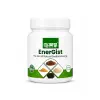 EnerGist